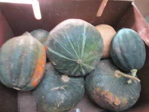 Box of Assorted Winter Squash...