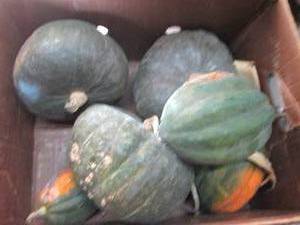 Box of Assorted Winter Squash...