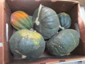 Box of Assorted Winter Squash...