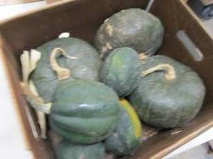 Box of Assorted Winter Squash...