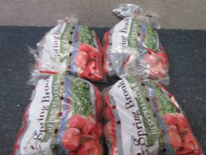 4- 3lb bags Spring Brook Red Potato...