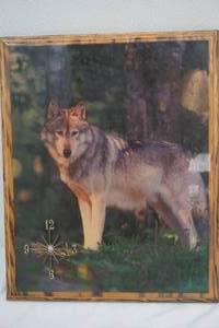 wolf clock picture