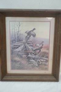 pheasant picture