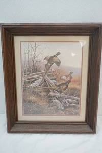 pheasant picture