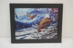 American eagle picture