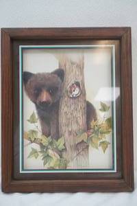bear picture
