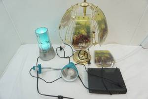 deer lamp, DVD player