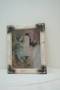 3d wolf picture