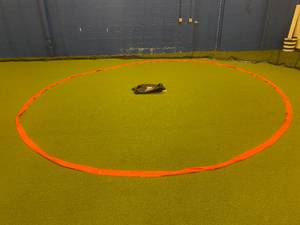 BRINE Portable Lacrosse Crease with Bag