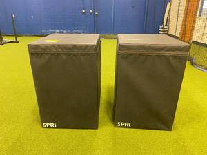 SPRI Lot of 2- Plyo Boxes 20 X 24 X 30 - Retail price $499 each