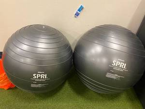 SPRI Lot of 2 Exercise Balls- 55cm