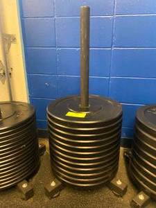 Stack 12 - 15lb Bumper Plates With Rack