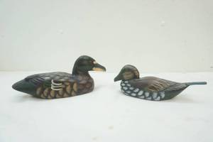 ducks