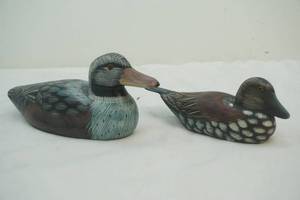 ducks