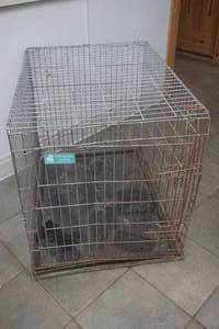 kennel