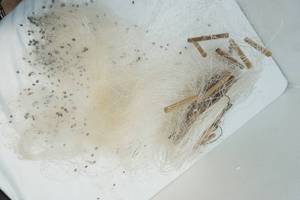 lot 56 image: large fish net