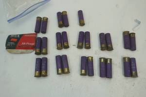 lot 65 image: federal 16 gauge ammo