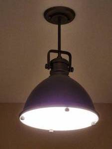 lot 318 image: (2) Ceiling Light Fixtures