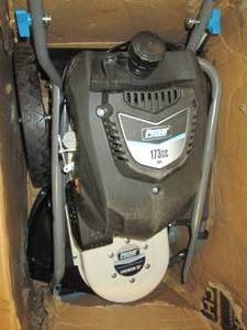 Pulsar 22 173cc Walk-Behind String...