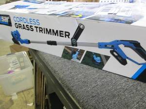 Pulsar 20V Lithium-Ion Cordless Gra...