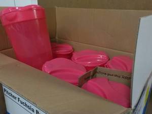 Case of 16 Plastic Fuchsia Burst Pi...