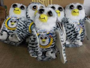5 Owl Freisty Pets- squeeze the bac...