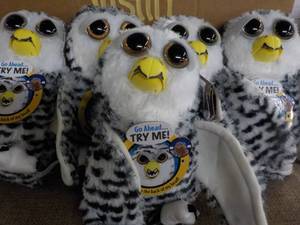 5 Owl Freisty Pets- squeeze the bac...