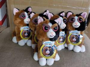 5 Cat Freisty Pets- squeeze the bac...