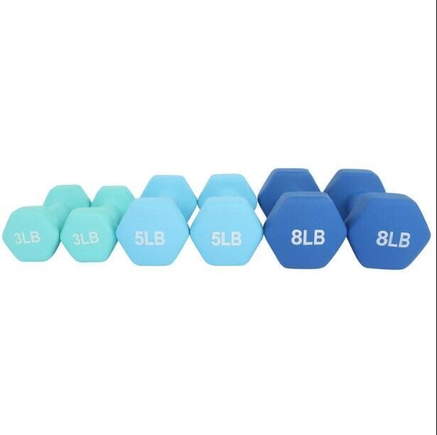 lot 698 image: NEW 32-Lb. Neoprene Dumbbell Set with Steel Dumbbell Rack