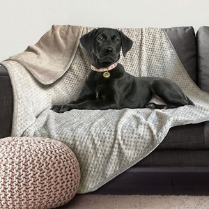 lot 589 image: NEW Doggy Decor Waterproof Pet Throw Blanket, 50 x 60 - Cobblestone
