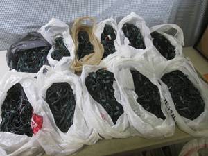 lot 8 image: (D-1) 11 Bags of Christmas Lights -...
