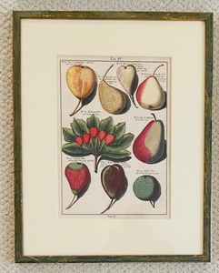 lot 199 image: Set of 4 Knoops Framed Prints