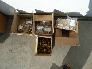 National Standards Brass Fittings