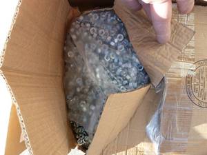 Assorted Stainless Steel Bolts