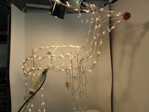 lot 138 image: Raindeer Dcor
