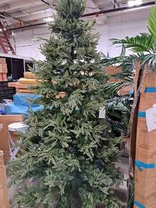 9 Lighted Christmas Tree
