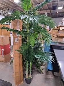 8 Palm Tree