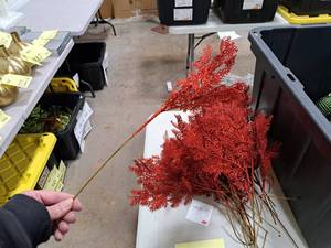 Lot of (15) 19 Decorative Branches