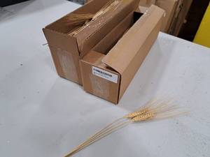 Lot of (2 Boxes) 14 Wheat Dcor