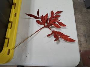 Lot of (20) 20 Tree Branch Dcor