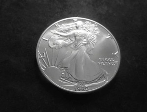 1989 Silver Eagle Dollar 1 Oz. 99.9 Fine Silver MS From UNC Roll