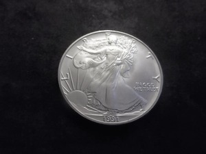 1991 Silver Eagle Dollar 1 Oz. 99.9 Fine Silver MS From UNC Roll