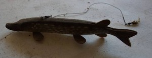 lot 66 image: Vintage Wooden Fishing Spearing Decoy