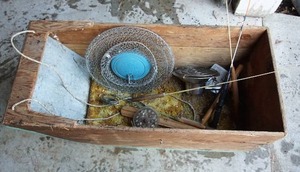 lot 79 image: Vintage Wood BoxSled and Misc. Fishing Items