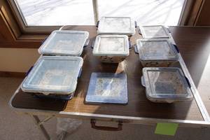 lot 335 image: Temp-tations Presentable Ovenware, Heritage by Tara