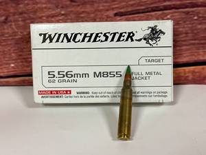 20 Rounds 5.56 M855 Green Tip Ammunition