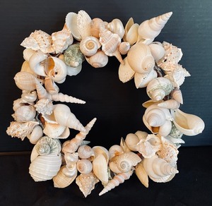 lot 30 image: Stunning Seashell Decor