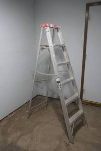 lot 48 image: Davidson aluminum ladder