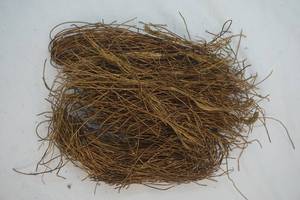 lot 249 image: copper wire