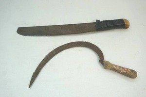 lot 311 image: matche,cye